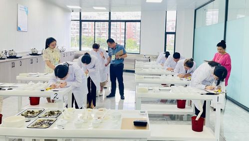 正山堂中高級評茶員職業技能培訓暨茶旅游學圓滿收官，引領茶行業人才培養新風尚