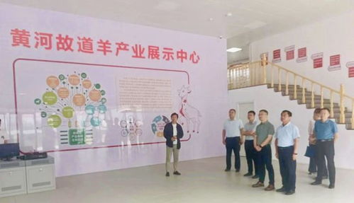 山東省人社廳赴單縣調研，推動羊肉湯專項職業技能培訓品牌化與規范化發展